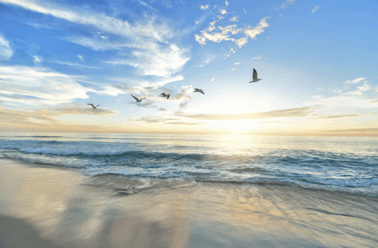 morning routine of walking at sunrise on the beach